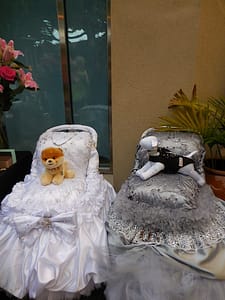 Pampered pooches...Support Ur Pet's display of fancy dog carriages