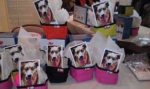 Canadog display